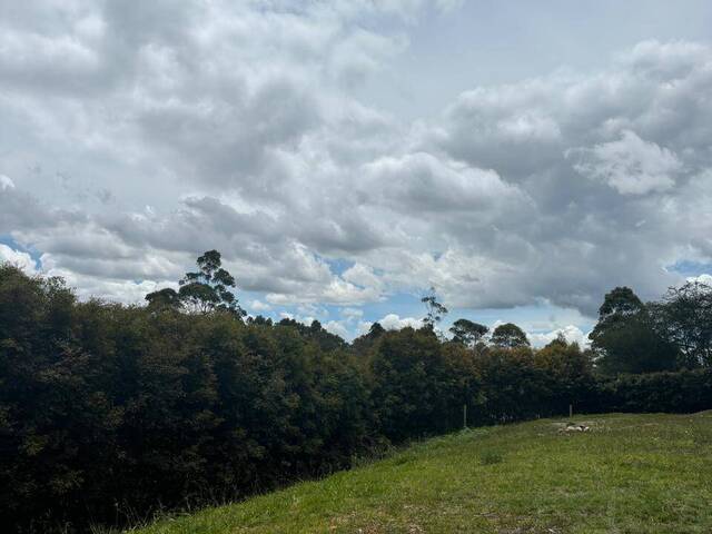 #4937 - Terreno para Venta en Rionegro - ANT - 2