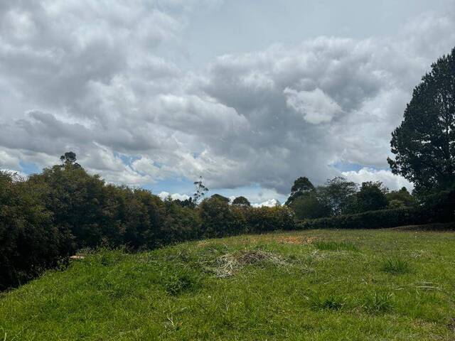 #4937 - Terreno para Venta en Rionegro - ANT - 1