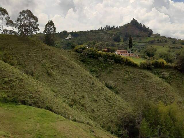 Venta en Via el Peñol-Guatapé - Peñol