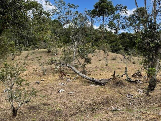 #4966 - Terreno para Venta en Rionegro - ANT - 2