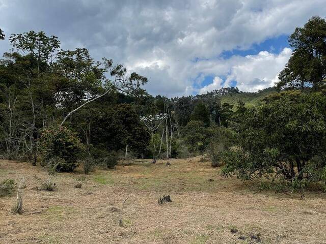 #4966 - Terreno para Venta en Rionegro - ANT - 1